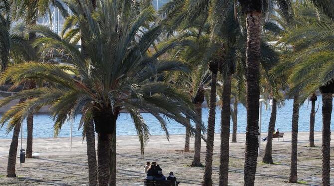 Mallorca ab Sonntag kein Risiko-Gebiet mehr, weiterer Corona-Impfstoff soll kommen, Infizierte ...