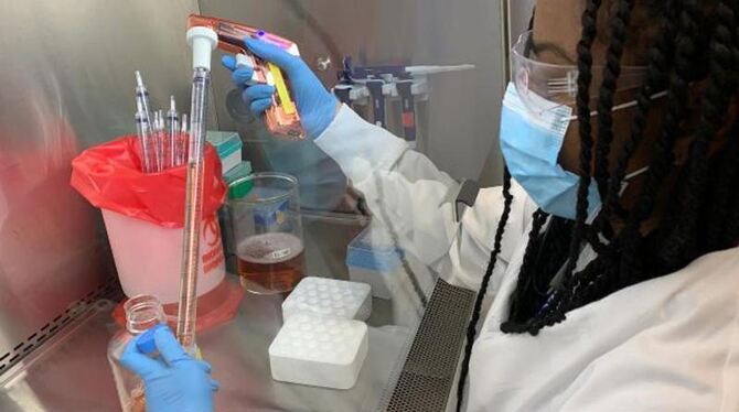 »Antikörper-Cocktail« »Antikörper-Cocktail«