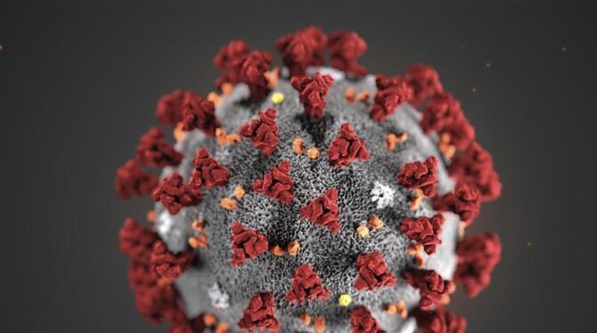 Coronavirus-Darstellung