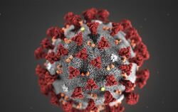 Coronavirus-Darstellung