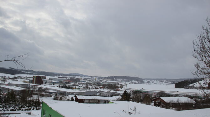 Die Nachfrage nach Gewerbeflächen in Münsingen ist ungebrochen. Dafür soll das Industriegebiet West erweitert werden. Vorgesehen