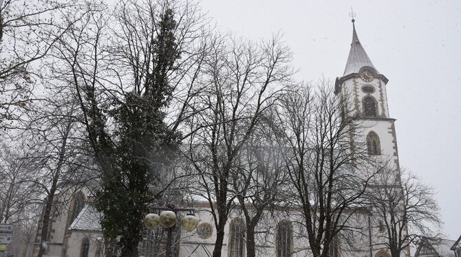 Die Tage der Kastanien nördlich der Martinskirche sind gezählt: Bis zum 28. Februar müssen sie gefällt sein.  FOTO: HAILFINGER