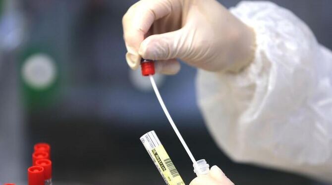 Coronavirus-Mutation Coronavirus-Mutation