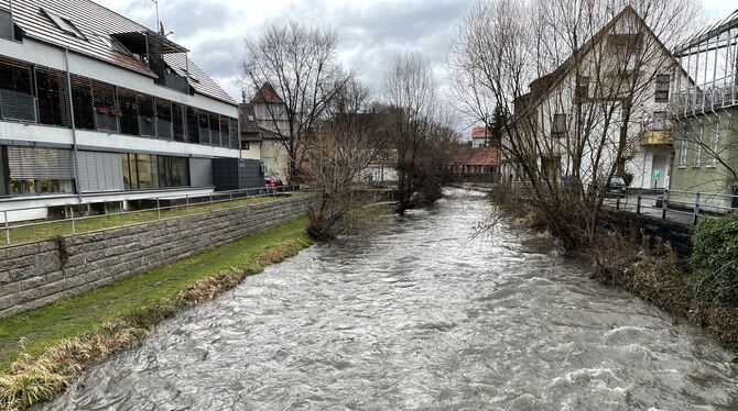 Die Echaz in der Ortsmitte Betzingen Ortsmitte am 29. Januar 2021