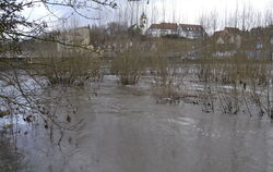 Neckar bei Mittelstadt