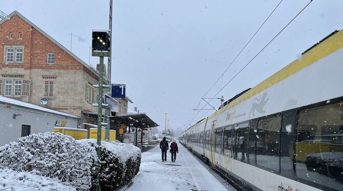 Ein Talent-2-Zug von Abellio ist in den Bahnhof Metzingen eingefahren.  FOTO: KLEIN