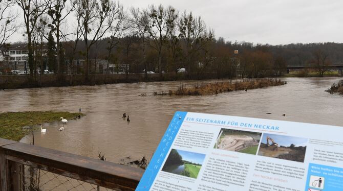 Den Seitenarm bei Kirchentellinsfurt hat der Neckar gerne angenommen, das war's dann aber auch schon mit dem Hochwasser.