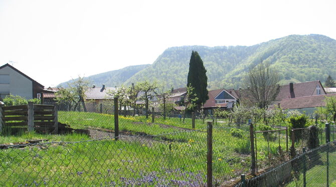 Die Gemeinde Dettingen möchte im Ort liegende Gärten, die zusammen rund sechs Hektar groß sind, als ökologisch wertvolle grüne L