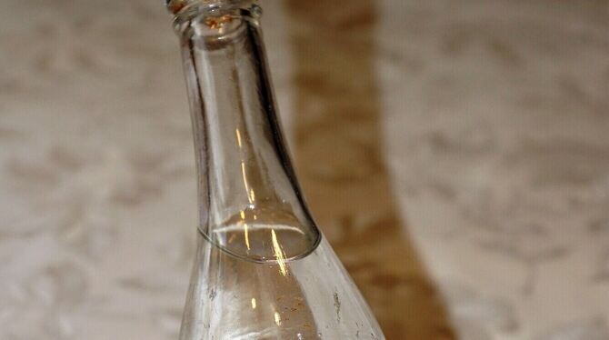 Die Rauschers stellten von 1908 an Limonade im eigenen Wohn- und Ökonomiegebäude in Auingen her.  FOTO: LENK