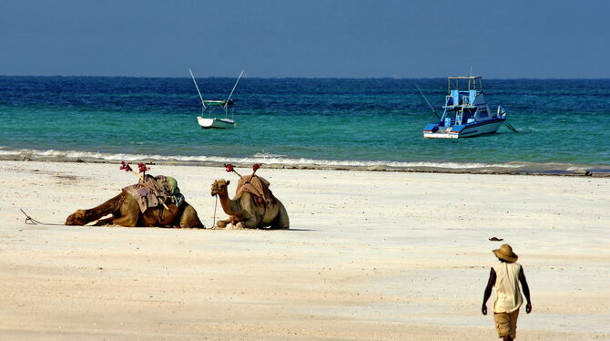 Traumreisen funktionieren für Reutlinger Passanten derzeit nur in der Fantasie. Sie schmieden heuer keine Urlaubspläne. FOTOS: Traumreisen funktionieren für Reutlinger Passanten derzeit nur in der Fantasie. Sie schmieden heuer keine Urlaubspläne. FOTOS: