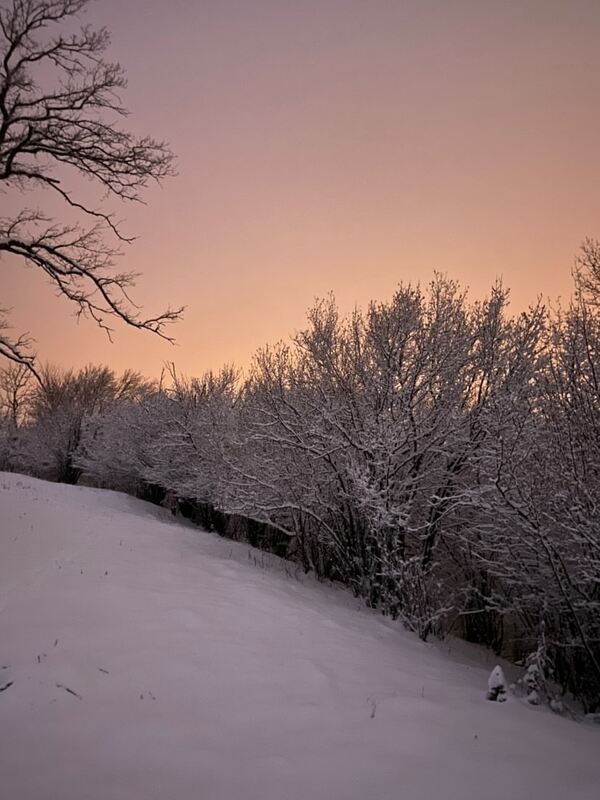 DBC31468-A3C6-478E-96A1-57105B9F0C93