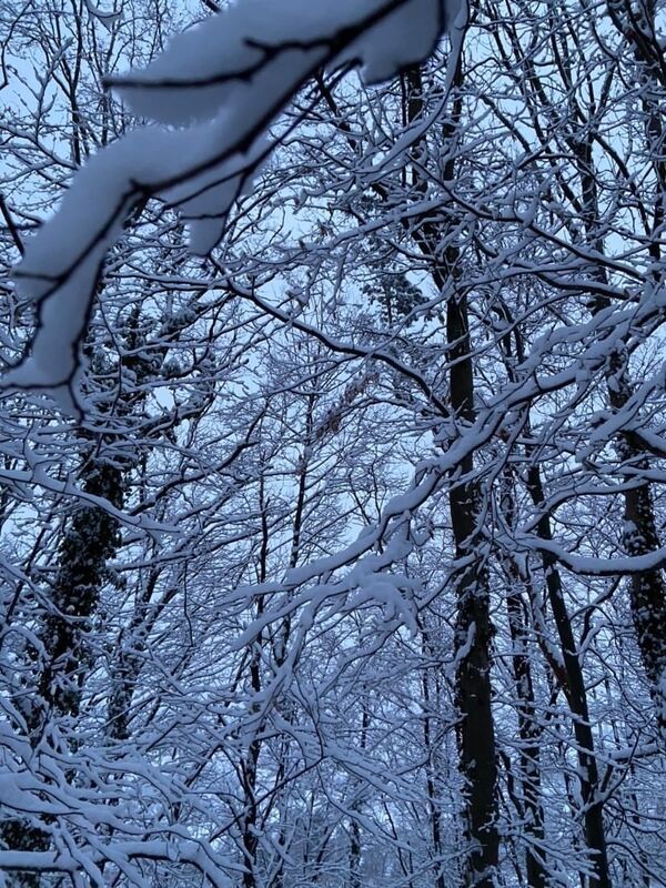 A8FB6106-C7AC-4CC5-BCDF-258C8C36FA0F