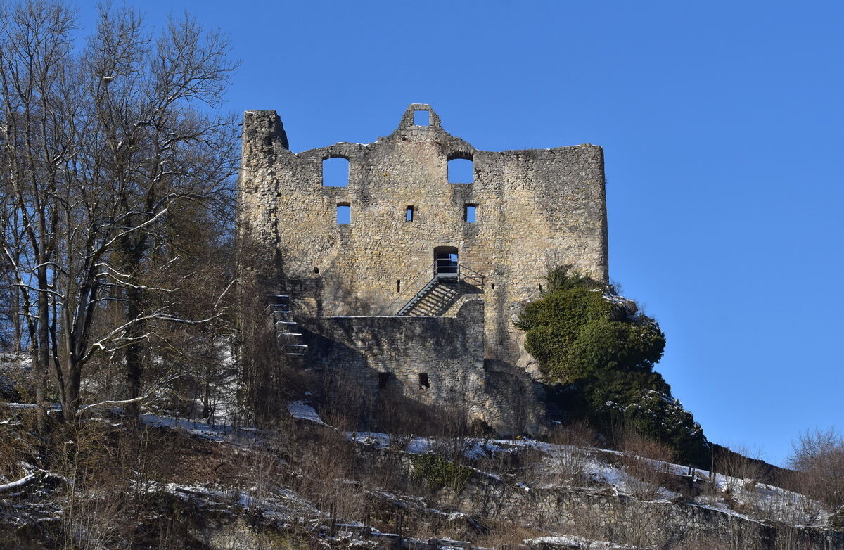 Blaublütiges vor blauem Himmel in Bichishausen