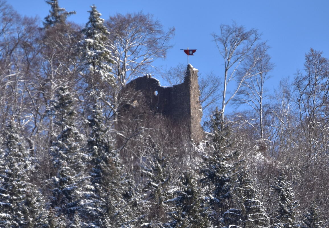Burgruine Höllnstein über Stetten