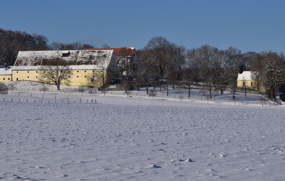 Domäne Masshalderbuch
