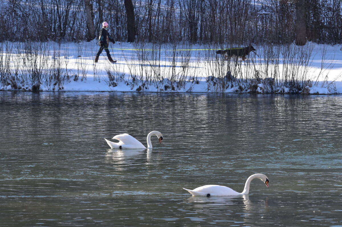 Eine Runde am und auf dem Lauchertsee ziehen