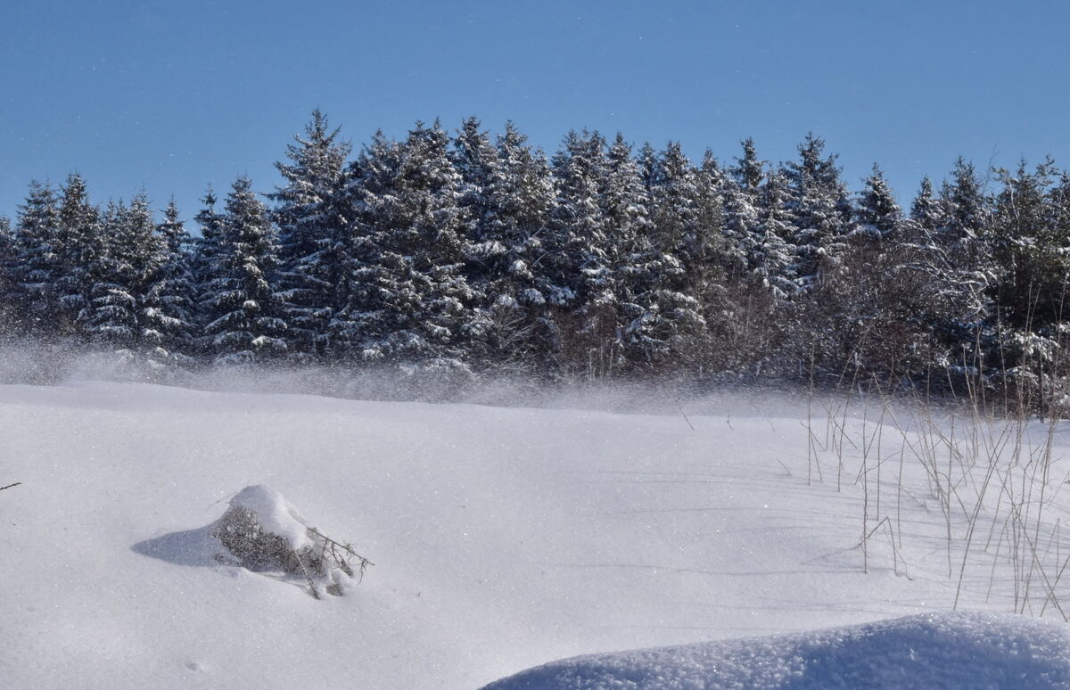 Kleiner Schneesturm bei Undingen