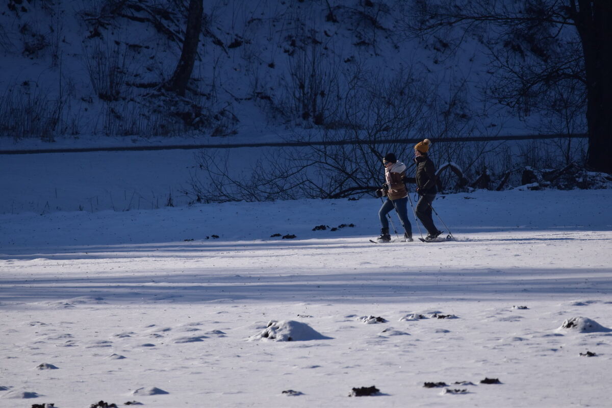 Langlaufpaar bei Gundelfingen