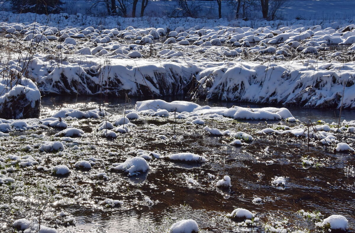 Lauchertdelta bei Stetten unter Holstein