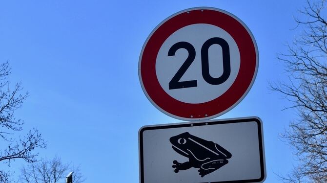 Lurche müssen auf dem Weg zu ihren Laichplätzen Straßen überqueren. FOTO: WÖRNER