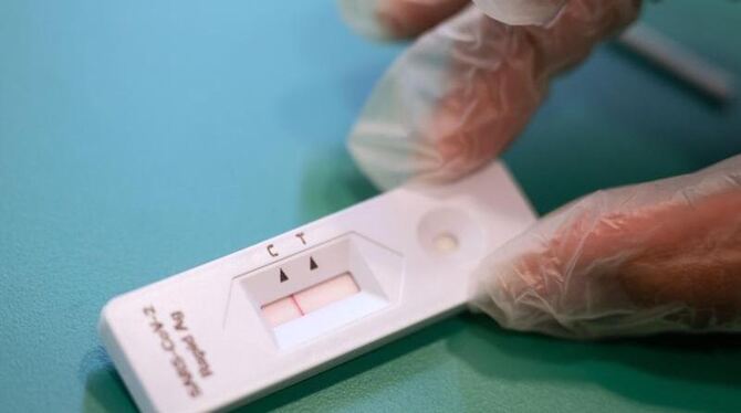 Schnelltest Schnelltest