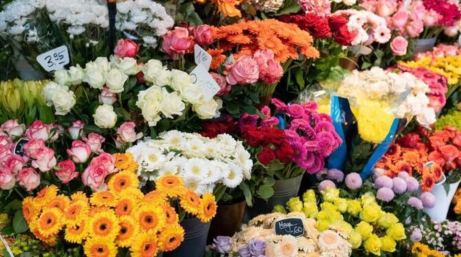 Blumenhandel Blumenhandel