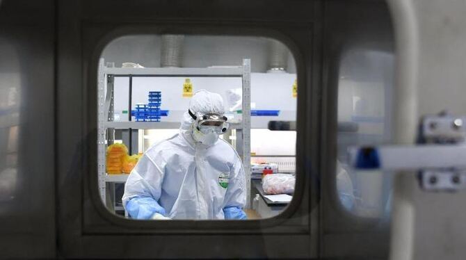 Coronavirus - Wuhan Coronavirus - Wuhan