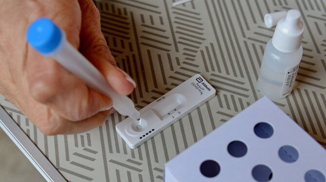 Corona-Schnelltests gibt’s ab Samstag, 27. Februar, auch in der Gemeindehalle von Walddorfhäslach. FOTO: NIETHAMMER Corona-Schnelltests gibt’s ab Samstag, 27. Februar, auch in der Gemeindehalle von Walddorfhäslach. FOTO: NIETHAMMER