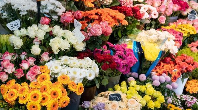 Blumenhandel Blumenhandel