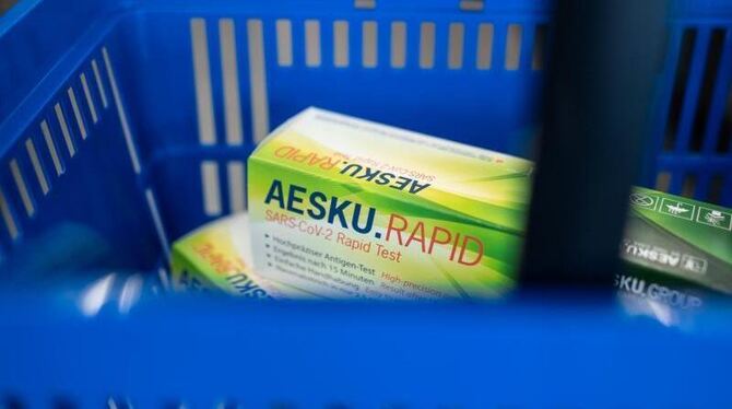 Corona-Schnelltests liegen in einem Einkaufskorb Corona-Schnelltests liegen in einem Einkaufskorb