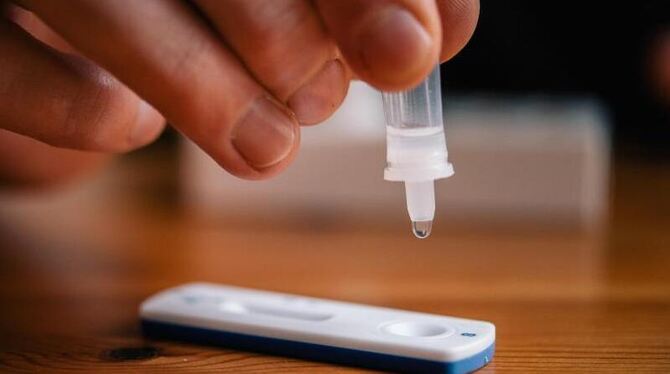 Schnelltest Schnelltest