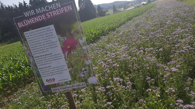 Bäuerlicher Beitrag zur Biodiversität: das Projekt »Blühende Alb«, hier bei Steingebronn. FOTO: FISCHER