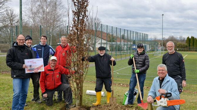 Die Baumpflanzaktion der Bürgerstiftung Gomaringen geht in die dritte Runde: Am Samstag wurden 15 Bäume beim Kinderhaus Haydnstr Die Baumpflanzaktion der Bürgerstiftung Gomaringen geht in die dritte Runde: Am Samstag wurden 15 Bäume beim Kinderhaus Haydnstr