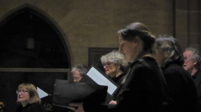 Der Chor Semiseria beim Auftritt in der Tübinger Motette-Reihe.  FOTO: BERNKLAU