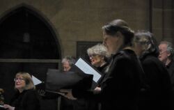 Der Chor Semiseria beim Auftritt in der Tübinger Motette-Reihe.  FOTO: BERNKLAU