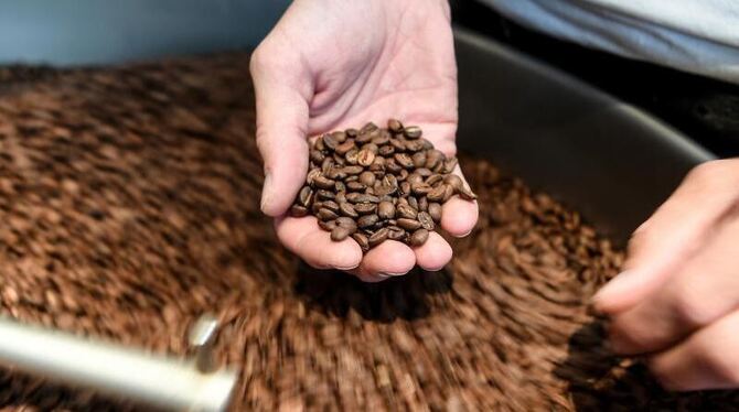 Kaffeerösterei Kaffeerösterei