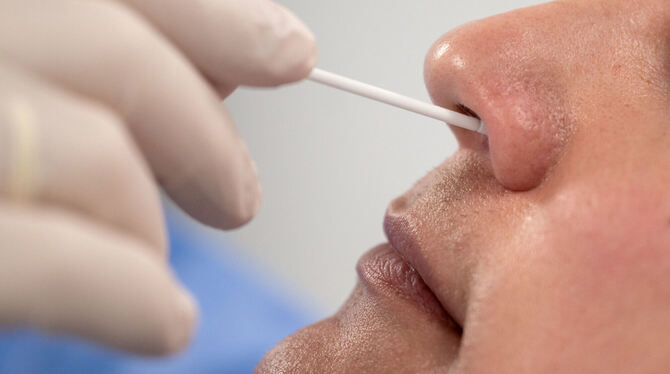 Der Mössinger Gesamtelternbeirat will keine Tests mit Nasenstäbchen in den Kindergärten. FOTO: MURAT/DPA Der Mössinger Gesamtelternbeirat will keine Tests mit Nasenstäbchen in den Kindergärten. FOTO: MURAT/DPA
