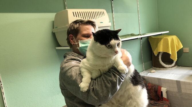 Reutlingens dickster Kater