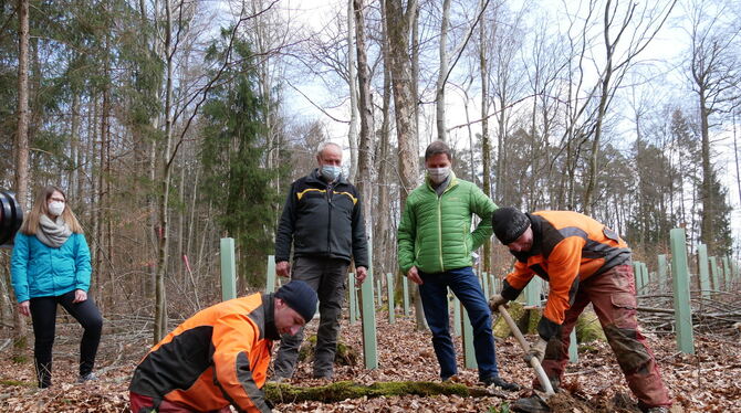 Baumpflanzaktion »1 000 Bäume für 1 000 Kommunen« in Pliezhausen. Im Bild: die Pliezhäuser Umweltbeauftragte Carolin Gerster, Re