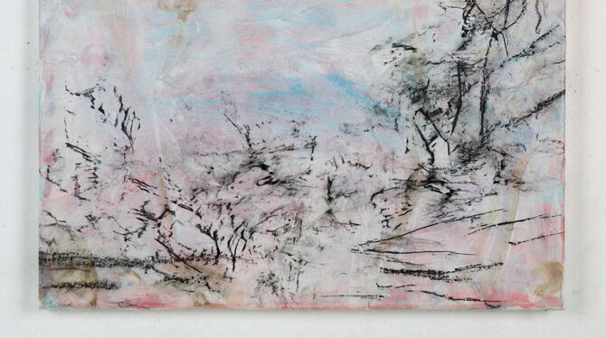 Jürgen Klugmann stellt Biberfraßspuren als abstrakte Landschaften dar. FOTO: PRIVAT Jürgen Klugmann stellt Biberfraßspuren als abstrakte Landschaften dar. FOTO: PRIVAT