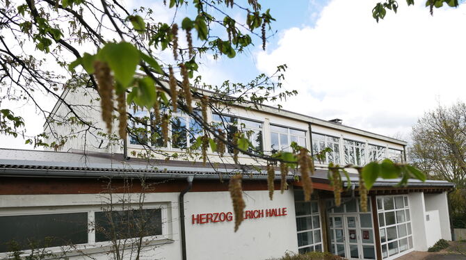 Der Umbau der Herzog-Ulrich-Halle ist dem Reichenecker Bezirksgemeinderat ein Herzensanliegen – und deshalb sollen die Mittel da
