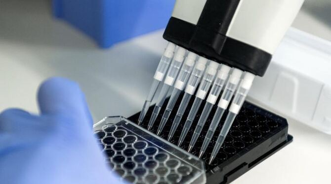 Deutscher Krebspreis Deutscher Krebspreis