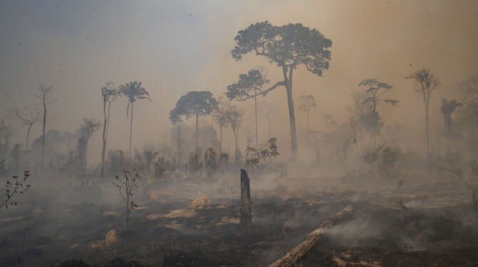 Brände zerstörten in Brasilien große Teile des Regenwaldes.  FOTO: PENNER/DPA