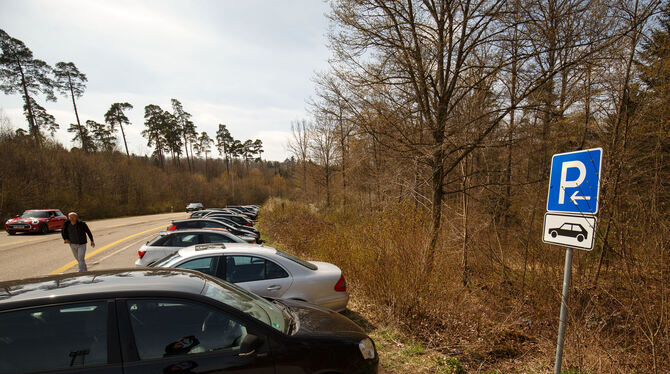 Parkplätze am Bärensee sind auch an Wochentagen gut gefüllt.  FOTO: PIECHOWSKI/LG