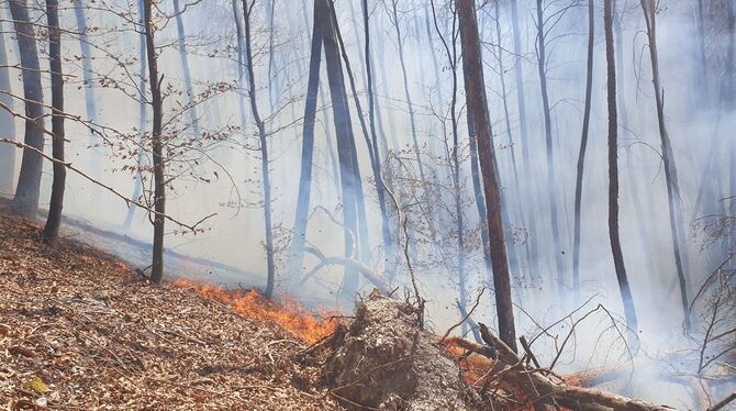 Waldbrand Bad Urach Waldbrand oberhalb der Georgiisiedlung zwischen Urach und Seeburg.