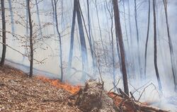 Waldbrand oberhalb der Georgiisiedlung zwischen Urach und Seeburg.
