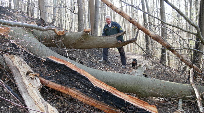 Am Sonntag hat am Hochberg in Bad Urach der Wald gebrannt. Revierleiter Uli Meyer, der hier neben einem hohlen Baum steht, der v