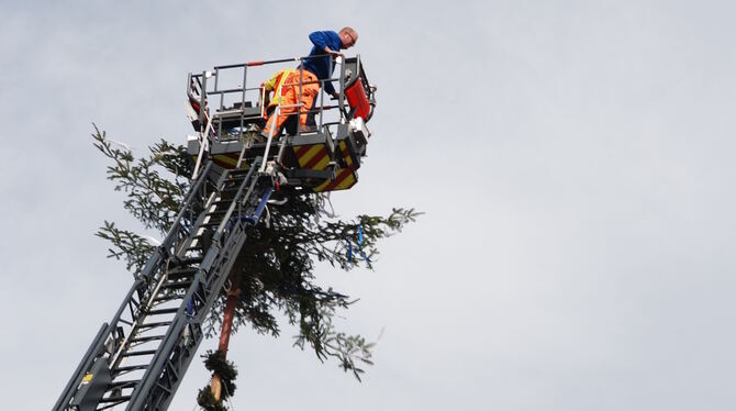 Am Metzinger Maibaum regnet es Zweige.
