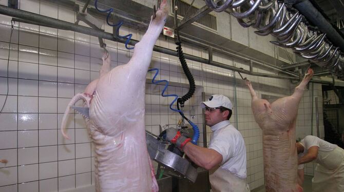 In Metzingen wurden 2019 rund 3 300 Tiere geschlachtet und verarbeitet. FOTO: FINK