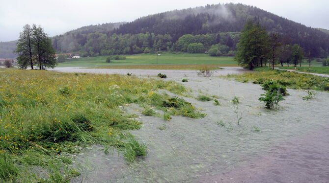 Vom Bach zum Strom: die Erpfmündung beim Hochwasser im Juni 2013. FOTO: MEYER
